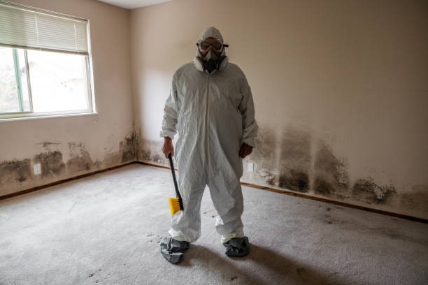 Mold Remediation for Rental Properties in El Dorado, AR