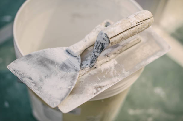 Reliable El Dorado, AR Mold Removal Solutions